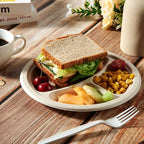 Vplus 100% Compostable Paper Plates, 125 Pack 9 Inch 3 Compartment Plates Disposable, Heavy Duty Biodegradable Plates Made of Sugar Cane Fibers, for Daily meals, Dinner, Parties, BBQ