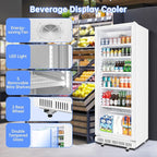 Commercial Beverage Refrigerator, 24.5 Inch 15 Cu. Ft. Drink Fridge, Display Refrigerator with Glass Door, Commercial Display Fridge with 5 Adjustable Shelves, for Shops, Restaurants, Bars