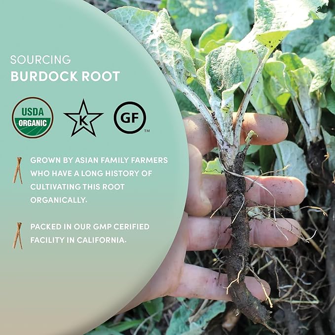 Worldwide Botanicals Organic Burdock Root – 1 lb - 100% Arctium lappa - Raíz de Bardana – Cut & Sift, Excellent Detox and Digestion Herb tea, Used to make Root Beer, 16 ounces