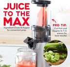 DASH Deluxe Compact Masticating Slow Juicer, Easy to Clean Cold Press Juicer with Brush, Pulp Measuring Cup, Frozen Attachment and Juice Recipe Guide - Graphite