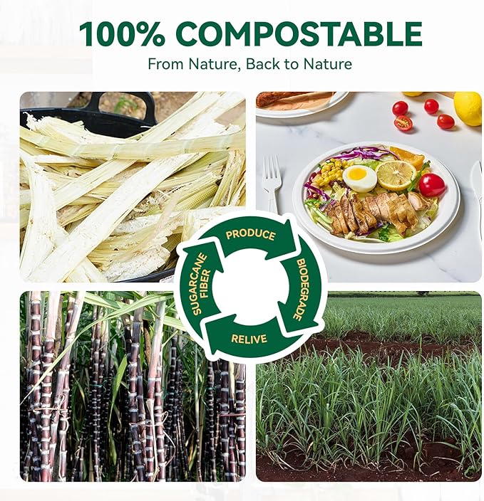JOLLY CHEF 100% Compostable Paper Plates, 150 Pack 10 Inch Heavy Duty Plates, Disposable Biodegradable Eco-Friendly Sugarcane, Bulk White