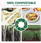 JOLLY CHEF 100% Compostable Paper Plates, 150 Pack 9 Inch Heavy Duty Plates, Disposable Biodegradable Eco-Friendly Sugarcane, Bulk White
