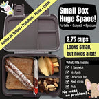 BEARFOOT Kids Lunch Box with Compartments – Compact & Lightweight | Leak-Proof, BPA-Free, Dishwasher & Microwave Safe | Hand-Drawn Design for Preschool, School, Travel (Dinos Black, 2.75 Cups)
