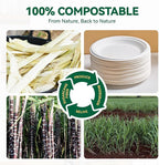 JOLLY CHEF 100% Compostable Small Paper Plates, 200 Pack 6 Inch Heavy Duty Dessert Plates, Disposable Biodegradable Eco-Friendly Sugarcane, Bulk White