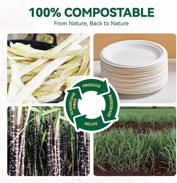 JOLLY CHEF 100% Compostable Small Paper Plates, 200 Pack 6 Inch Heavy Duty Dessert Plates, Disposable Biodegradable Eco-Friendly Sugarcane, Bulk White