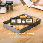 Teranuvo Silicone Oven Tray compatible with BALMUDA The Toaster Oven - safe to use, non toxic, durable, dishwasher safe, heat resistant, silicone liners for air flow and drain oil, non stick (Grey)