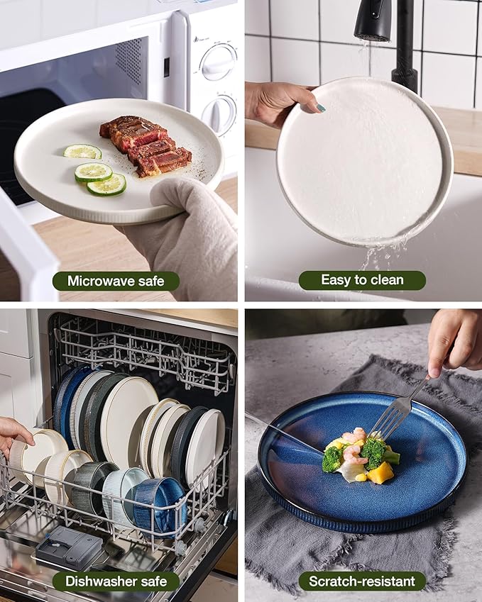 Famiware Star 12-Piece Stoneware Dinnerware Sets for 4, Reactive Glaze Plates and Bowls, Modern Rustic Dishes for Everyday/Formal Use, Chip/Scratch Resistant, Microwave/Dishwasher Safe, White & Black