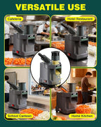 WantJoin 3 in 1 Electric Vegetable Chopper - Multifunctional Commercial Vegetable Dicer Food Fruit Processor Stainless Steel Blades for Slicing(2.5mm)