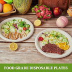 ECOLipak 100% Compostable 10 Inch Paper Plates, 125 Pack Heavy Duty Disposable Biodegradable Eco-friendly Sugarcane Bagasse Plates for Dinner Party Thanksgiving