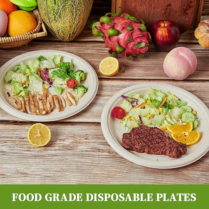 ECOLipak 100% Compostable 10 Inch Paper Plates, 125 Pack Heavy Duty Disposable Biodegradable Eco-friendly Sugarcane Bagasse Plates for Dinner Party Thanksgiving