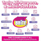 Quick 'n Brite All Purpose Cleaning Paste – Miracle Cleaner for Tough Stains | Eco-Friendly, Non-Toxic, Pet-Safe | Multi-Surface Stain Remover | Made in USA, 32oz (Pack of 2)