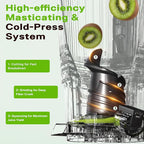 Cold Press Juicer, Juicer Machines with 5.3" Wide Feed Chute, Slow Masticating Juicer for Whole Fruits and with VegetablesHigh Yield (Gray)