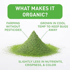 Aiya Certified USDA Organic Culinary Grade Matcha Green Tea Powder - Ideal for Baking, Lattes, Smoothies - Gluten-Free & Non-GMO - 100g Bag (3.52 oz)