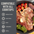 Zakarian x Dash Nonstick Cast Iron Grilling and Roasting Pan - Oven-Safe Cookware - Titanium Ceramic Nonstick Coating - Great for Roasting Veggies, Meats, and More - Blue, 11-Inch