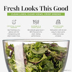 Glass Salad Spinner Large Capacity 6.3QT with Storage Lid | Boroscilicate Glass Bowl and BPA-Free and Food-Safe Colander, Base, Spinner Lid and Storage Lid | Washing, Spinning, and Draining