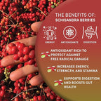 Worldwide Botanicals Organic Schisandra Berries, 1lb, tea cut for best infusion. 100% Schisandra chinesis AKA Five Flavor Fruit, Omija, Wu Wei Zi, Adaptogen Tea, 16 ounces
