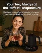 Vianté Electric Gooseneck Kettle with Precise Temperature Control. Pour Over Coffee & Tea Kettle. Boil-Dry Protection & Keep Warm Function. Stainless Steel, BPA-Free. Includes #2 Filters. 0.8L