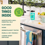 Aunt Fannie's Bundle: All Purpose Vinegar Cleaning Spray (Eucalyptus) + Vinegar Cleaning Wipes (Eucalyptus)