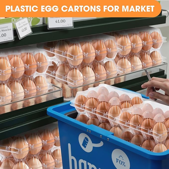 160 Pack Egg Cartons Cheap Bulk 12 Count Clear Empty Egg Cartons for Chicken Eggs 3x4 Grids, Reusable Egg Holder Egg Trays for Family, Chicken Farm, Markets Display - Egg Containers for Fresh Eggs