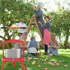 EJWOX Fruit Wine Press 2.38 Gal - Heavy-duty T-Handle & Cross-beam, Stainless Steel Juice Maker for Apple, Grape, Home Brewing