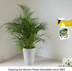 Sparkle Plenty Silk Sensation Artificial Flower & Plant Leaf Cleaner and Shine, Fake Flower Dusting Spray, Silk Plant Cleaner Spray, Drip Dry Cleaning Supplies for Artificial Tree (1 Gallon)