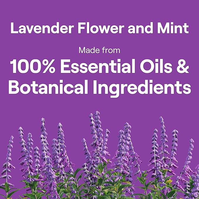 Seventh Generation Dish Soap Liquid Lavender Flower & Mint Scent Pack of 6 Dishwashing Soap Dish Detergent Liquid Soap 19 oz