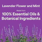 Seventh Generation Dish Soap Liquid Lavender Flower & Mint Scent Pack of 6 Dishwashing Soap Dish Detergent Liquid Soap 19 oz