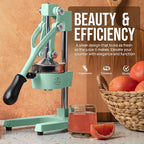 Zulay Kitchen Cast Iron Juicer - Easy-to-Clean Heavy-Duty Manual Juicer, Professional Citrus Juicer - Stainless Steel Lemon Squeezer - Manual Citrus Press & Orange Squeezer - Orange Juicer – Mint