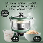 COOK WITH COLOR 3L Glass Mini Low Carb Rice Cooker – Holds 2 Cups Raw/Makes 6 Cups Cooked with Auto Lift Filter Basket, Hotpot & Steamer for Rice, Grains, Digital Panel with Keep Warm, Dark Sage