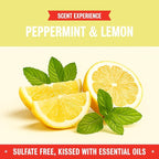 Rebel Green Natural All-Purpose Cleaning Spray - Plant-Based Multi-Surface Cleaner with Essential Oils for Kitchen, Bath, Countertops and More - Peppermint & Lemon Scent - 16 oz - 1 Pack