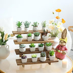 Swallowliving 2pcs Wooden Rustic Cupcake Stand for 24 Cupcakes, Stepped Wood Display Stand for Weddings, Tiered Party Table Display Riser for Food, Dessert, Cookie, Decor, Craft Show, Burnt