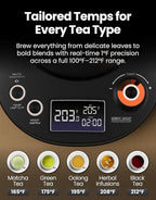 Vianté Electric Gooseneck Kettle with Precise Temperature Control. Pour Over Coffee & Tea Kettle. Boil-Dry Protection & Keep Warm Function. Stainless Steel, BPA-Free. Includes #2 Filters. 0.8L