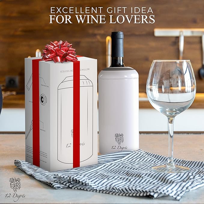 Wine Chiller Set - Perfect Wine Gifts for Women & Men - Stainless Steel Insulated Wine Cooler with Wine Pump, Aerator & 4 Stoppers (White Matte)