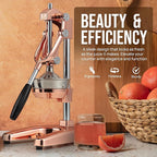 Zulay Professional Citrus Juicer - Premium Manual Citrus Press and Orange Squeezer - Metal Lemon & Lime Squeezer - Extra Tall Heavy Duty Cast Iron Manual, Rose Gold