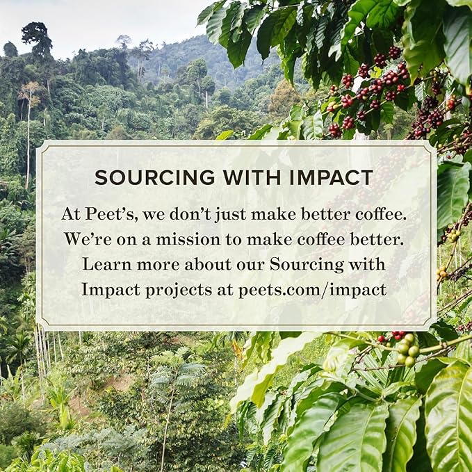 Peet's Coffee, Medium Roast Keurig K-Cup Pods - Single Origin Brazil 88 Count (4 Boxes of 22 Pods)