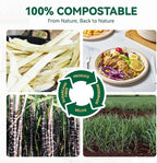 JOLLY CHEF 100% Compostable Paper Plates, 150 Pack 9 Inch Heavy Duty Plates, Disposable Biodegradable Eco-Friendly Sugarcane, Bulk Nature