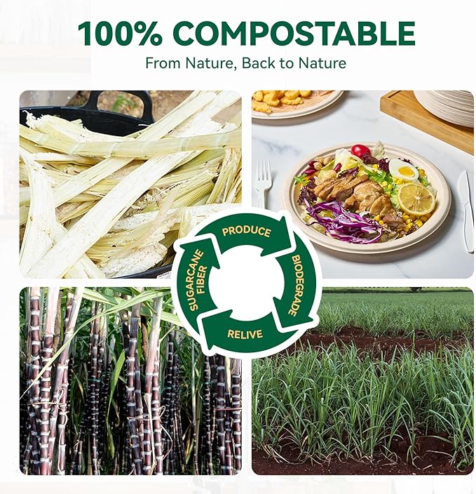 JOLLY CHEF 100% Compostable Paper Plates, 150 Pack 10 Inch Heavy Duty Plates, Disposable Biodegradable Eco-Friendly Sugarcane, Bulk Nature