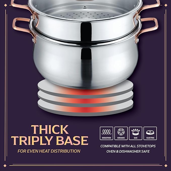 CONCORD Premium Stainless Steel 2 Tier Steamer w/Rose Gold Handles 22 cm