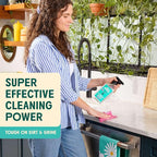 Aunt Fannie's All Purpose Household Cleaner, Multi-surface Spray, Powered by Vinegar for Kitchen, Bath, Windows and Countertops, Lemon Scent (Refill)
