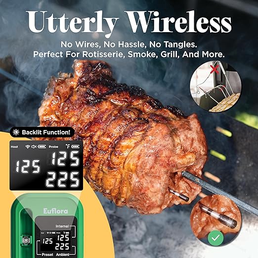 Wireless Meat Thermometer with Digital Meat Probe, Measures Internal & Ambient Temp, 800FT Bluetooth Meat Thermometer with Host Control for Barbecue, Outdoor Grilling, Oven & Smoker (Lime)