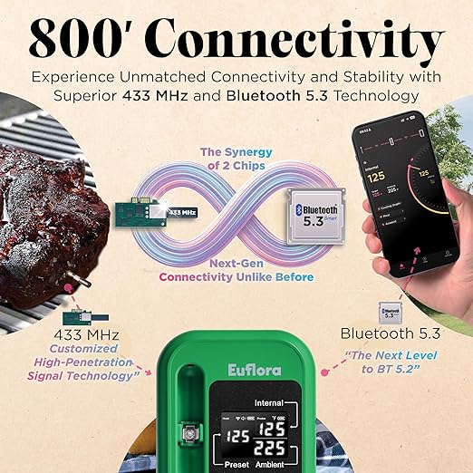 Wireless Meat Thermometer with Digital Meat Probe, Measures Internal & Ambient Temp, 800FT Bluetooth Meat Thermometer with Host Control for Barbecue, Outdoor Grilling, Oven & Smoker (Lime)